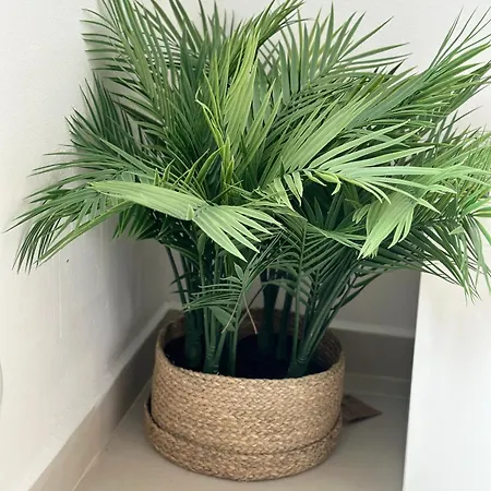 Korcula Newly Renovated D3 With Pool