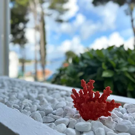 Korcula Newly Renovated D3 With Pool Lumbarda